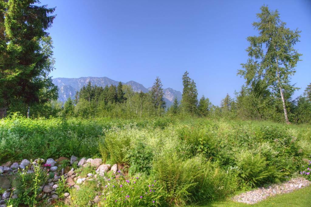 Haus Rieder Apartment Inzell